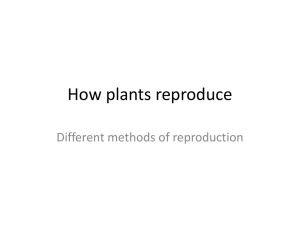 How plants reproduce