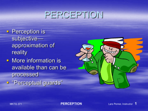 Perception - Lars Perner