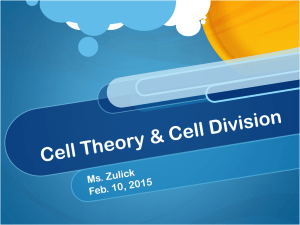Cell Theory and Division Notes