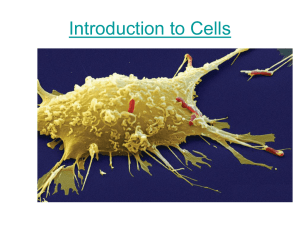 Introduction to Cells - Winston Knoll Collegiate