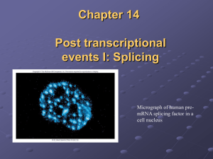 Chapter 14 Post transcriptional events I: Splicing Table of contents