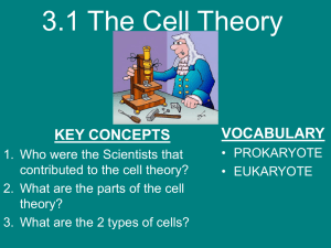 The Cell Theory - staeger science