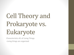 Cell Theory and Prokaryote vs. Eukaryote