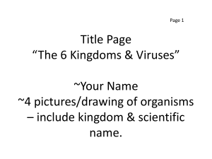 4 pictures/drawing of organisms * include kingdom & scientific name.