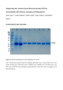 Engineering Color Variants of Green Fluorescent Protein (GFP) for