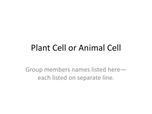 Plant Cell or Animal Cell