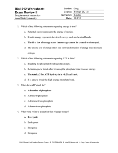 Exam Review II Answer Key
