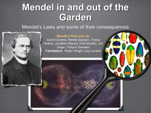 Mendel's Laws and Some Consequences (PowerPoint) Madison 2009