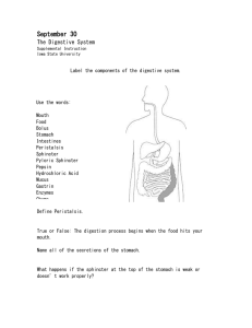 The Digestive System - Iowa State University