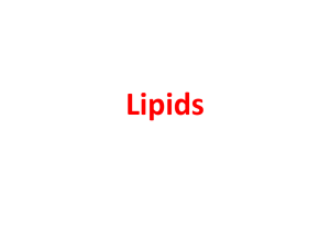 Lecture8-Lipids