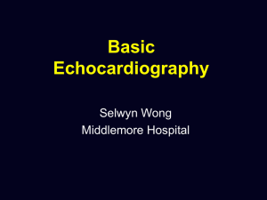 Echocardiography of the Right Ventricle