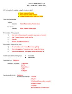Unit 2 Science Study Guide Plant and Animal Classification Why is it