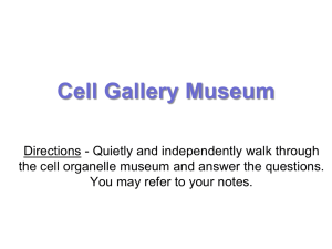 Cell Museum