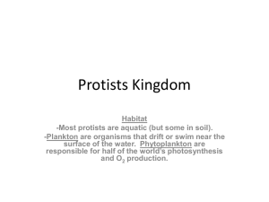Protists Kingdom
