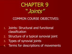 CHAPTER 9 “Joints and Articulations”