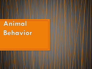 Animal Behavior Notes