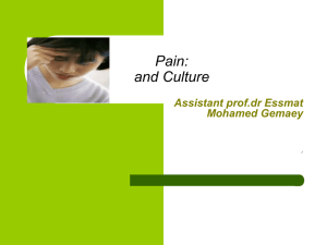 Pain: and Culture