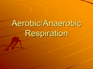 Aerobic/Anaerobic Respiration