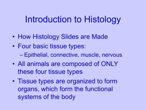 Histology Overview Reduced
