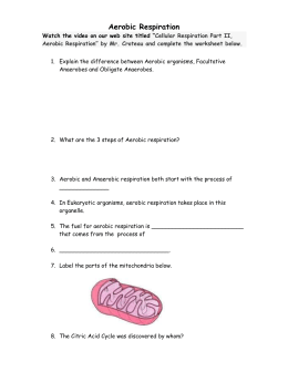 Aerobic cellular respiration equation picture