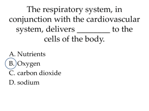The respiratory system, in conjunction