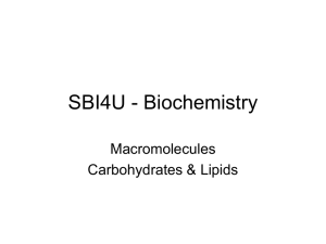 SBI4U - Macromolecules 1