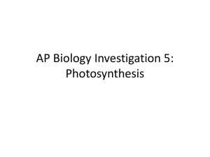 Lab 5: Photosynthesis