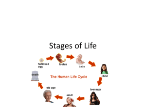 Stages of life power point
