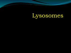 Lysosomes Storage Diseases (Dr. Abdul Hameed)
