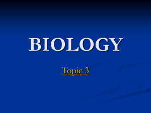 Biology Topic 3