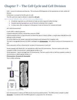 Section 8 2 Review Cell Division Worksheet Answer Key - cell division