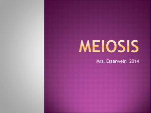 meiosis - Cobb Learning