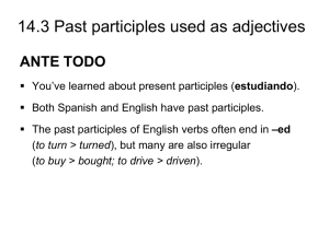 14.3 Past participles used as adjectives