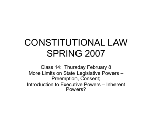 CONSTITUTIONAL LAW SPRING 2007