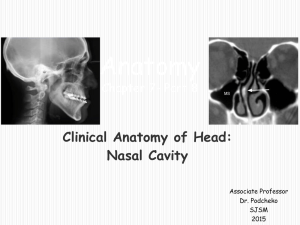 Clinical Anatomy of Nasal Cavity and Olfaction