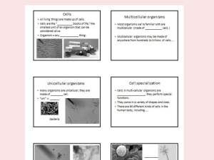 Cell Structures & Functions slideshow Cell Structures & Functions