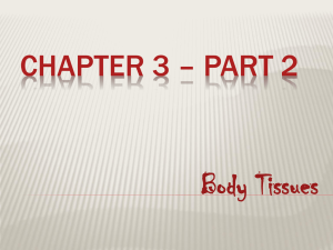 Chapter 3 * Part 2