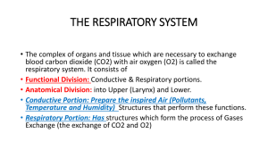THE RESPIRATORY SYSTEM
