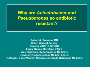 Why Are Acinetobacter and Pseudomonas So
