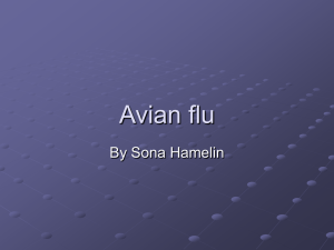 Avian flu and human interactions