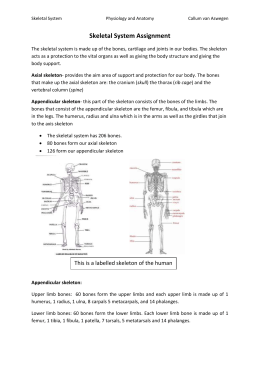 Christian Essays Homework Help Skeletal System Order Custom Essay Term Paper How To Write A Good 5 Paragraph Essay also Why I Want To Become A Nurse Essay Writing Help For College Students Buy A Research Paper Online College Essay Personal Statement Examples
