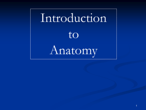 Introduction to Anat..