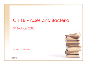 Ch 18 Viruses and Bacteria