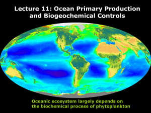 Lecture 11: Ocean Primary Production and Biogeochemical Controls