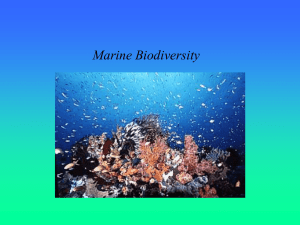 Marine Biodiversity - Marine Discovery at the University of Arizona