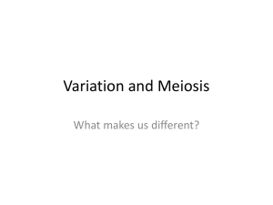 Variation and Meiosis