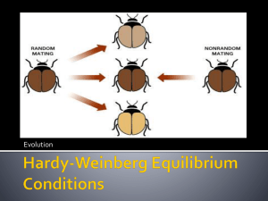 Hardy-Weinberg Equilibrium Conditions