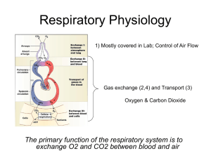 Respiratory Physiology: Outline