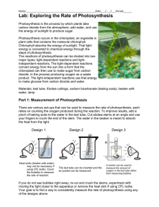 Lab: Exploring the Rate of Photosynthesis