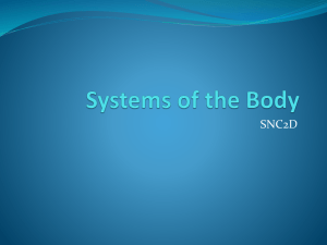12 Systems of the Body Note